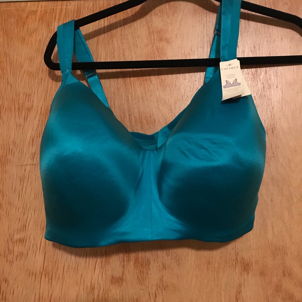Lane Bryant bra